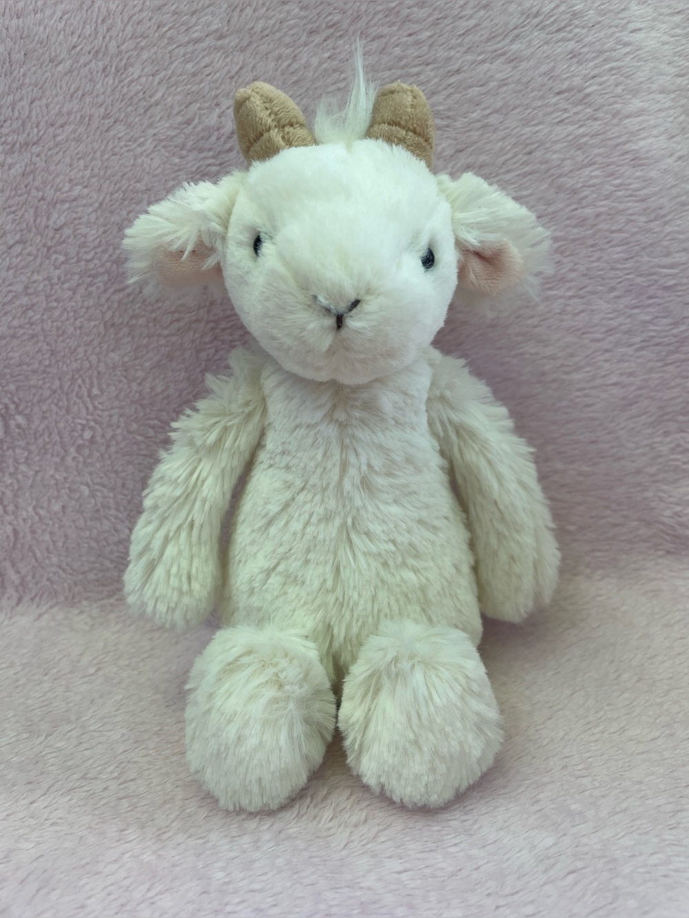 Jellycat Bashful Goat Retired 8”inches